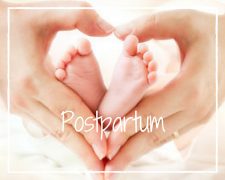 Vitality of the Mind Maria Littleton Postpartum
